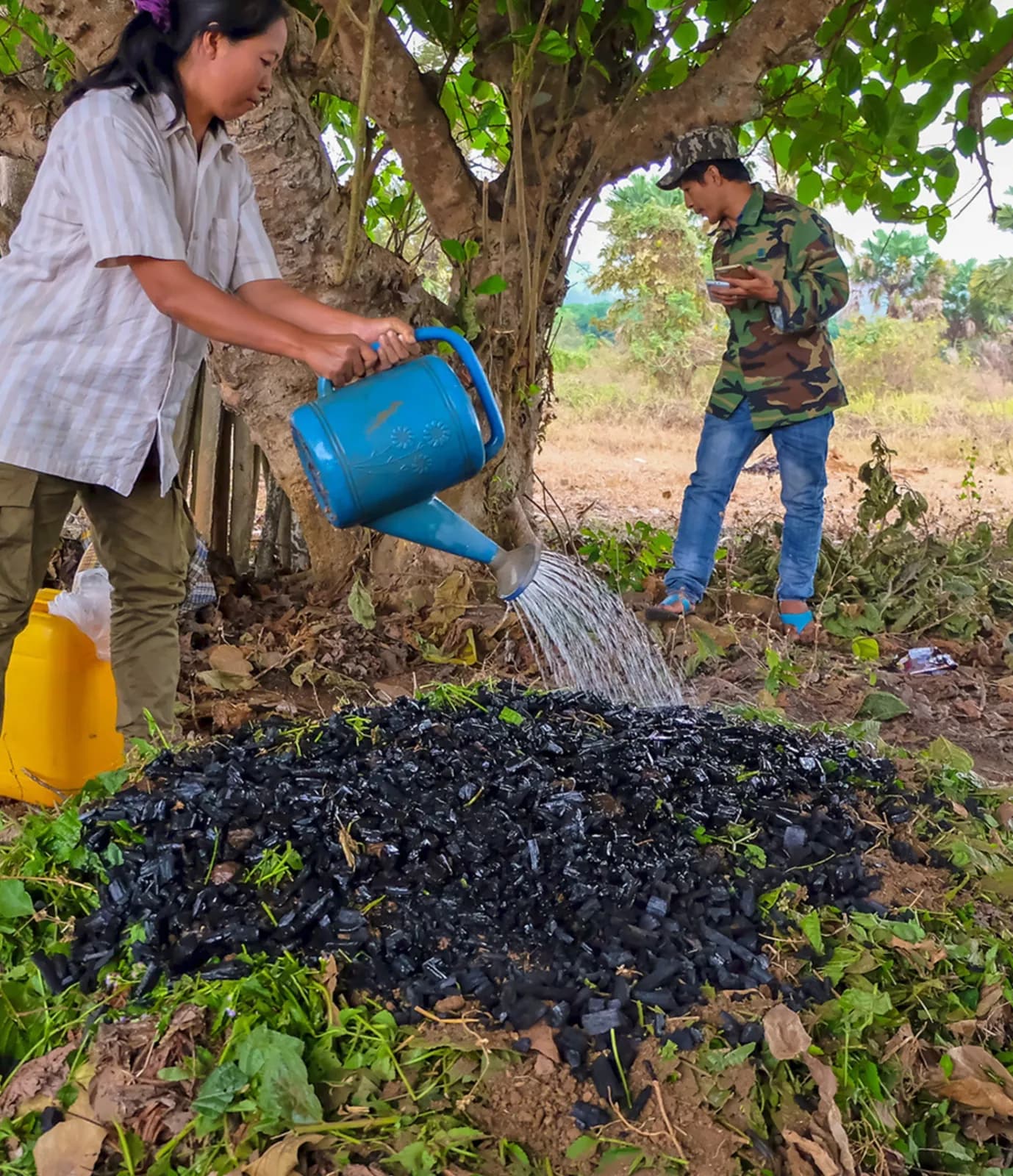 Farmers watering biochar spread on soil beneath a tree