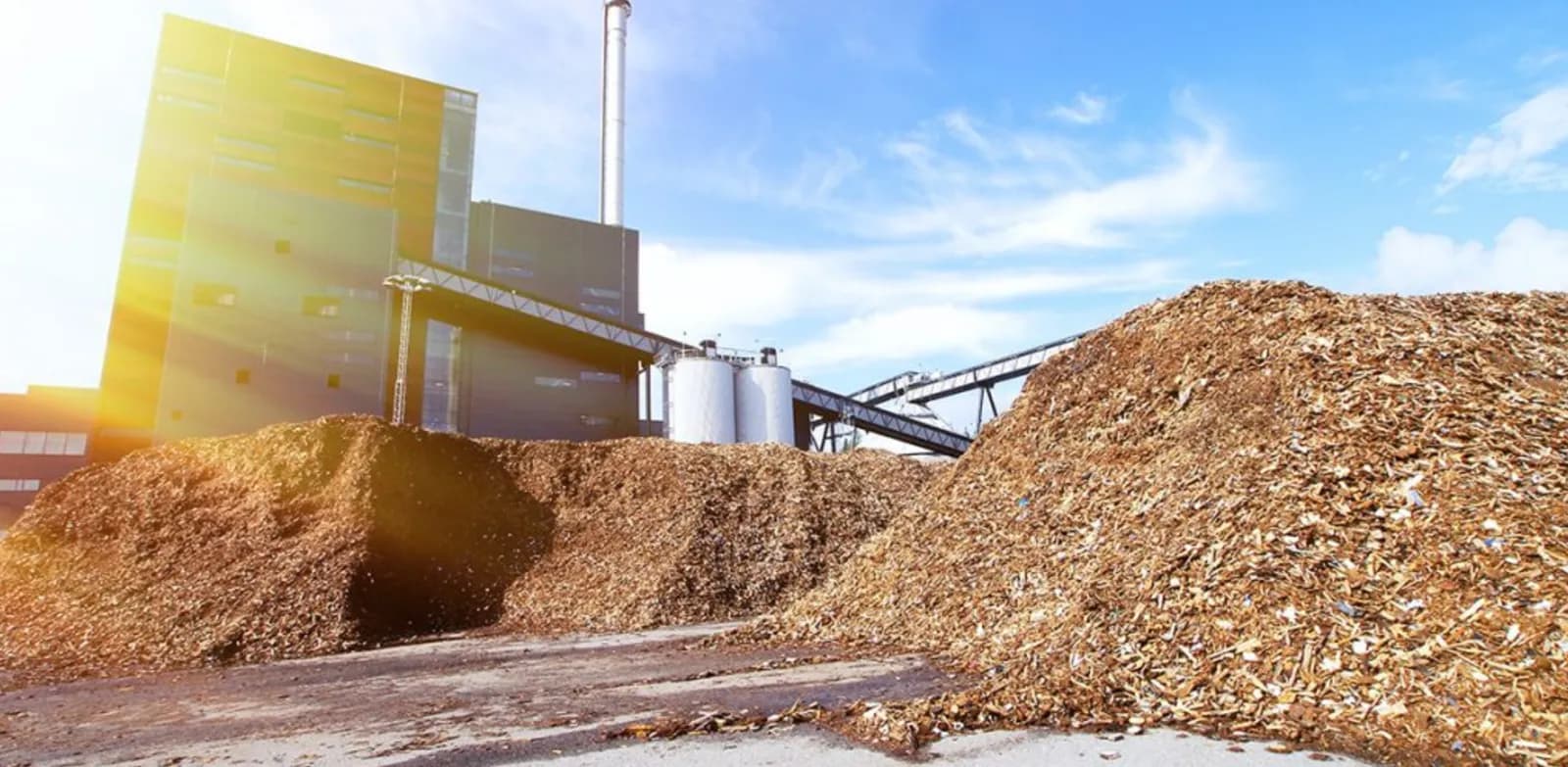 Stockpiles of wood chip biomass beside an industrial plant